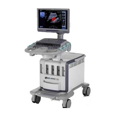 Siemens Ultrasound