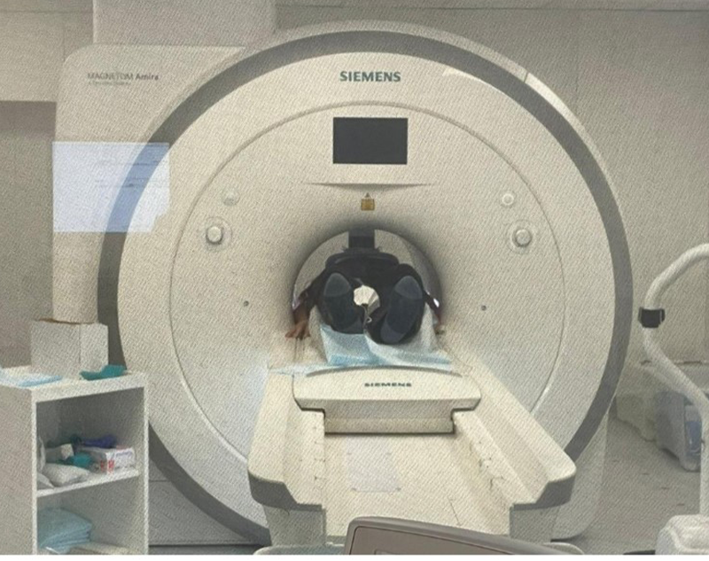 20Med MRI SIEMENS HEALTHCARE Amira 1.5T